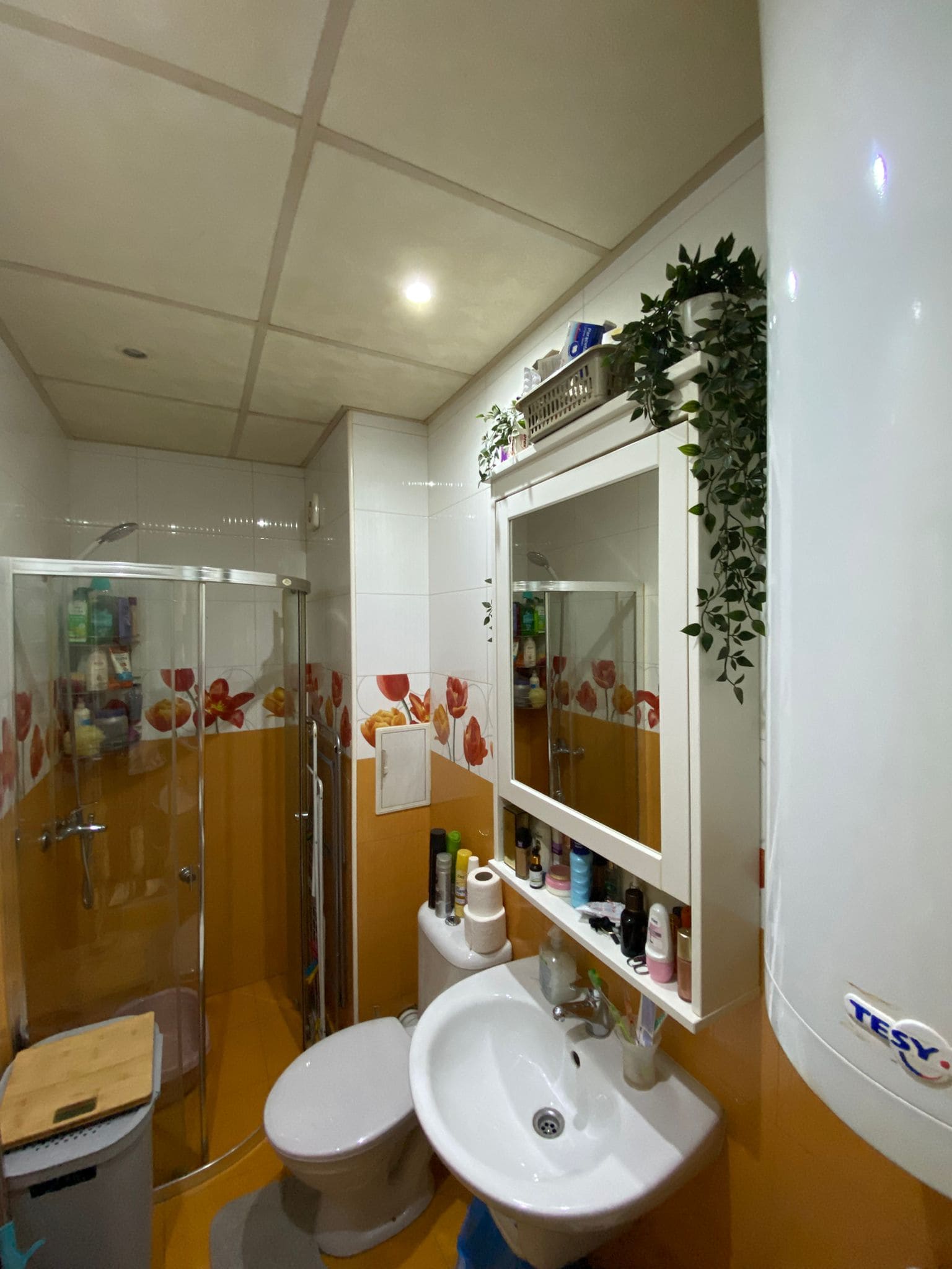 Изображение WhatsApp 2025-05-23 в 14.43.13_ffd54441