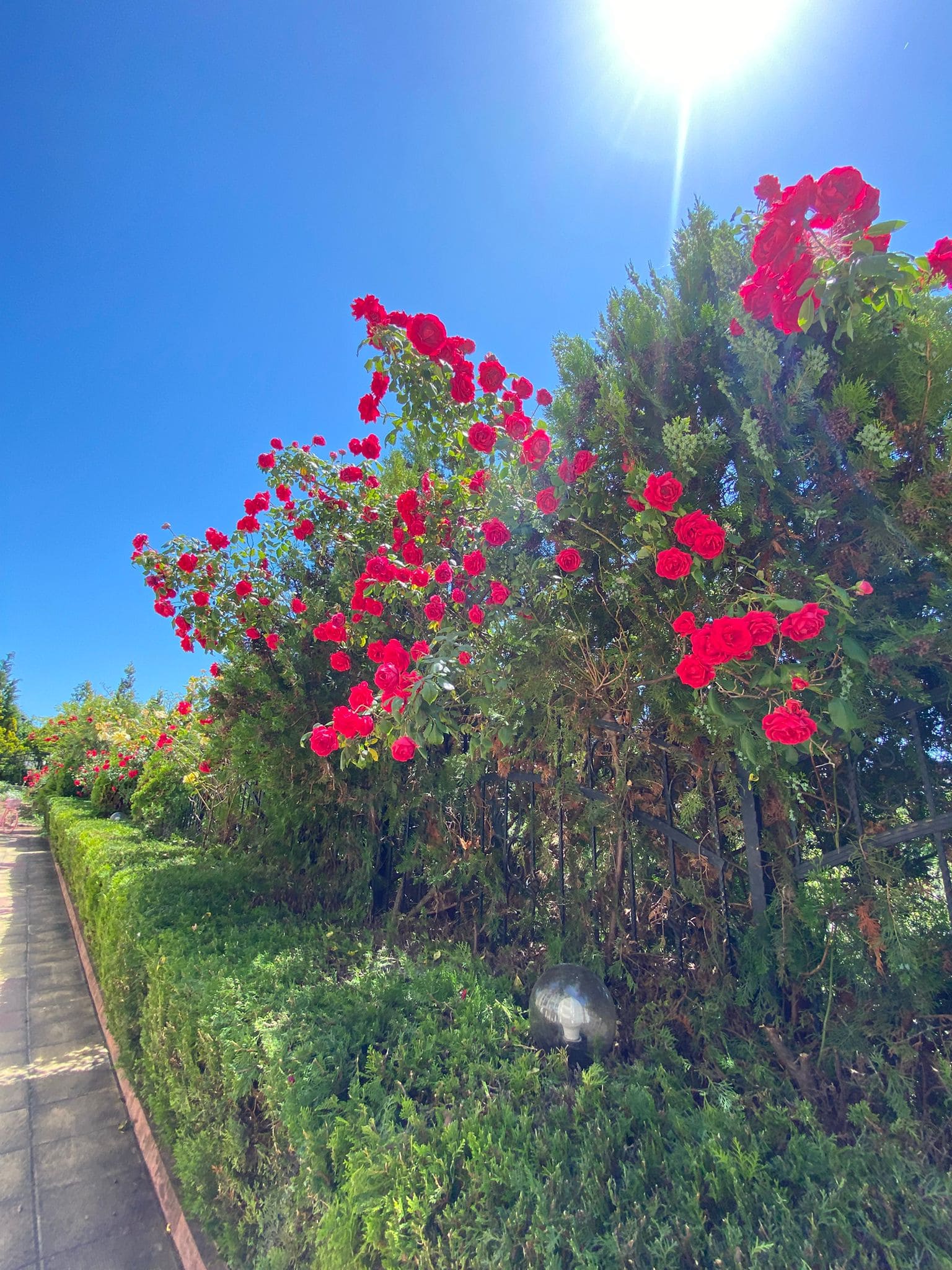 Изображение WhatsApp 2025-05-23 в 14.43.17_046a8249