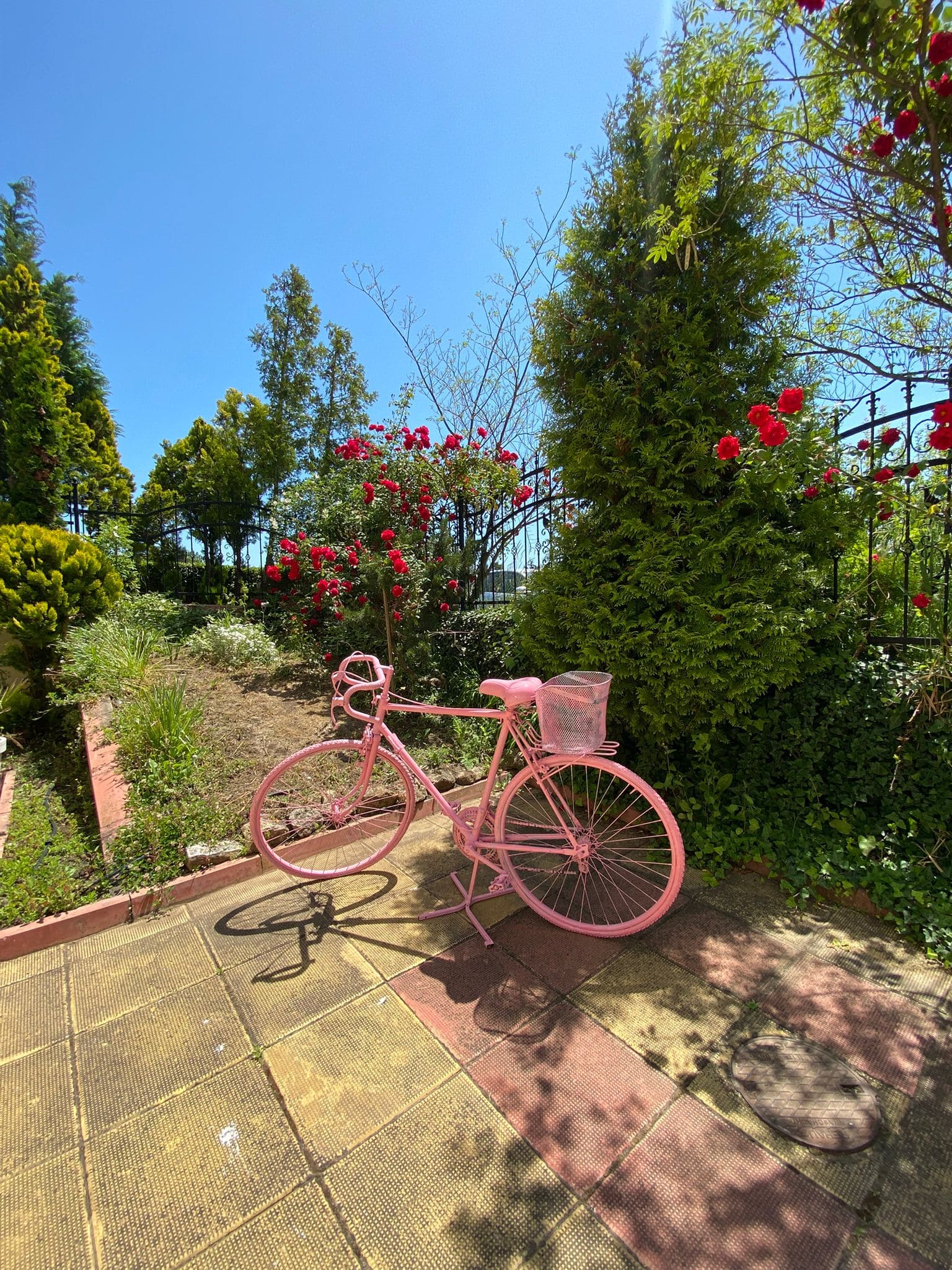 Изображение WhatsApp 2025-05-23 в 14.43.17_3907b432