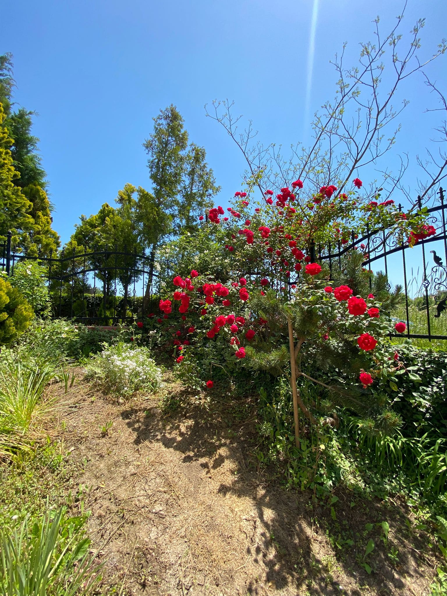 Изображение WhatsApp 2025-05-23 в 14.43.18_36bec3fe