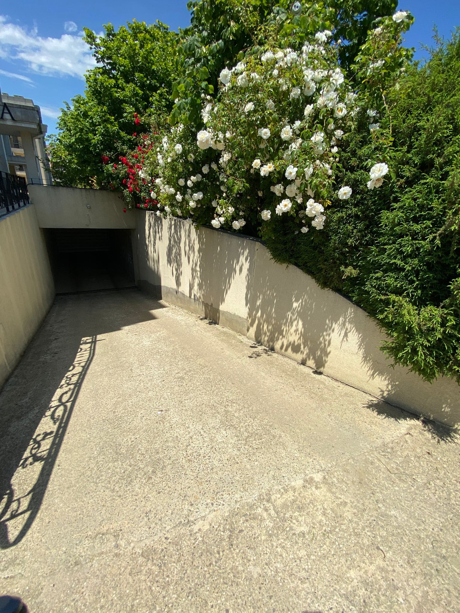 Изображение WhatsApp 2025-05-23 в 14.43.19_55e6e5b5