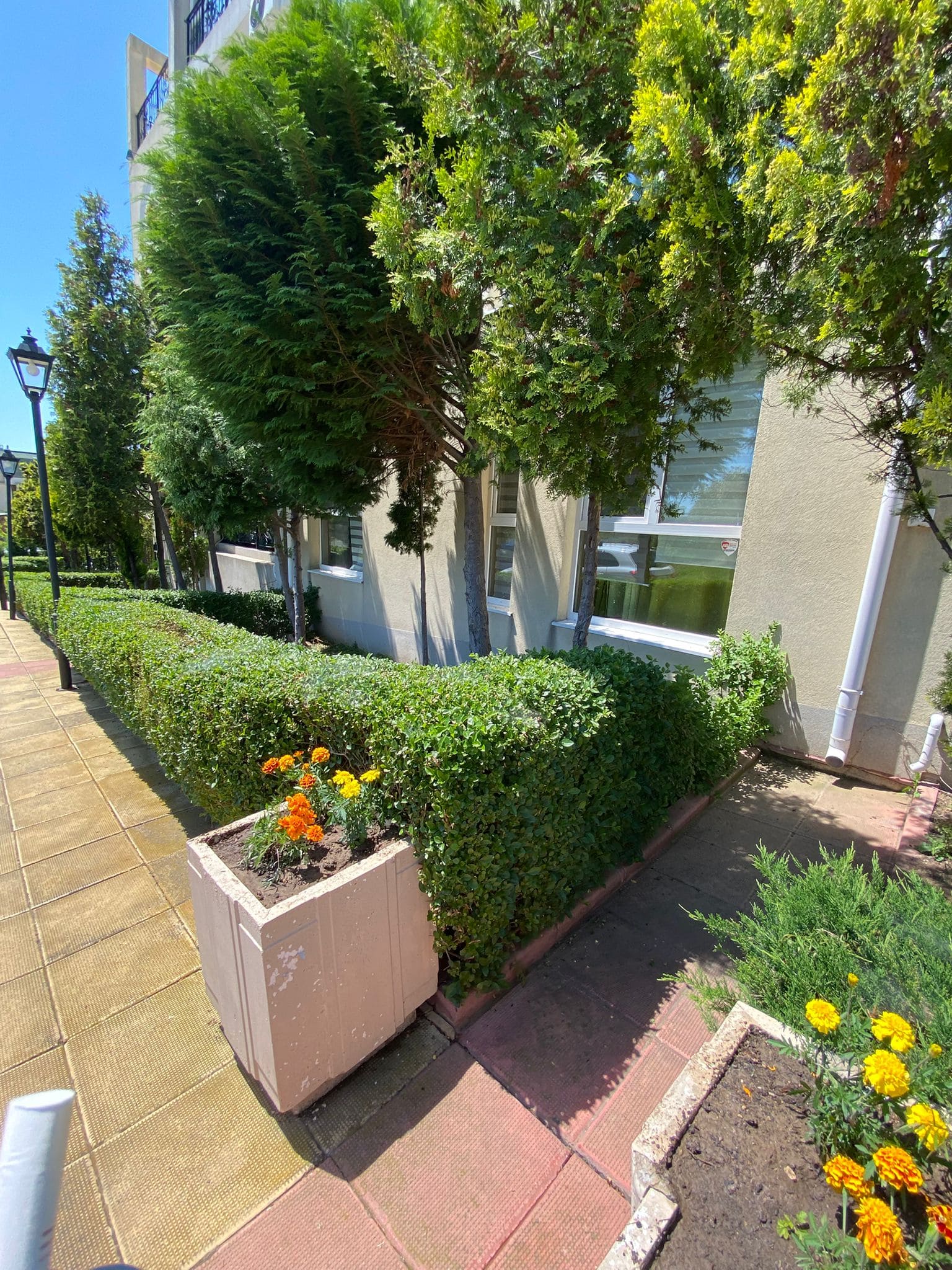 Изображение WhatsApp 2025-05-23 в 14.43.19_be33dc03