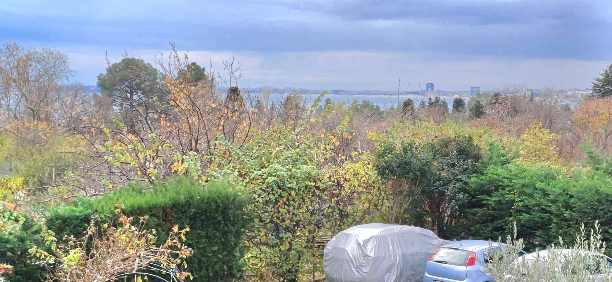 Изображение от WhatsApp на 2025-11-28 в 13.22.17_bbbc22f4-min